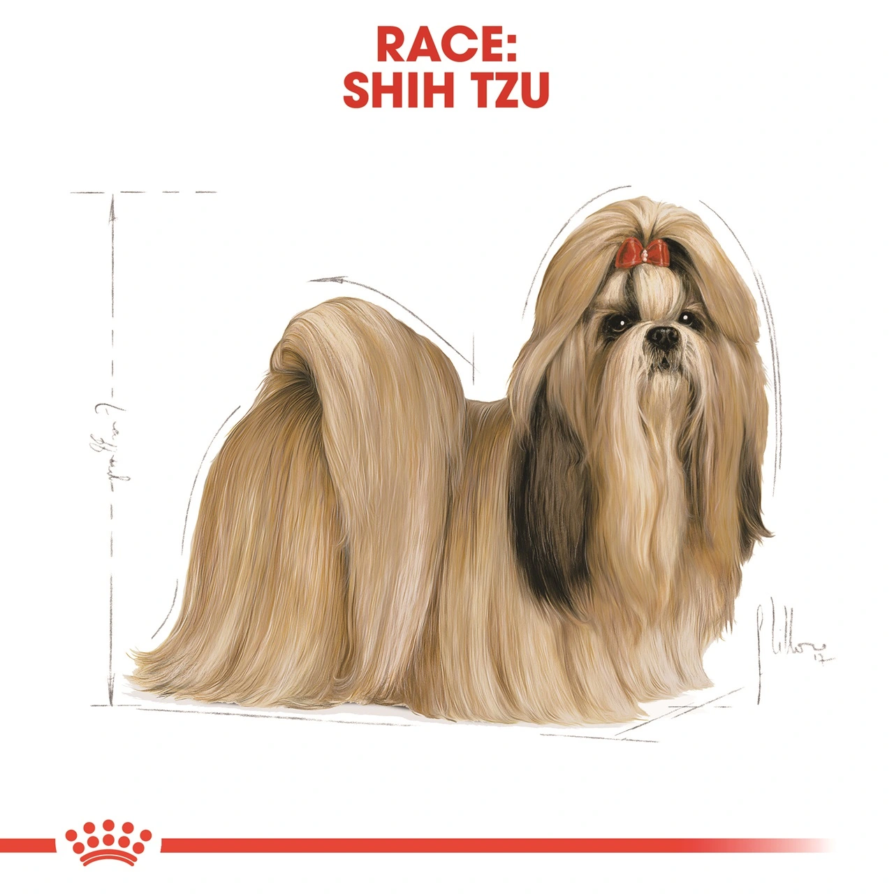 Royal Canin Shih Tzu Adult 7,5 kg - tørfoder til voksne hunde